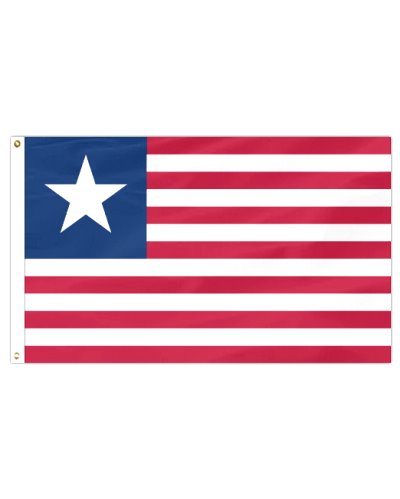 Florida Secession Flag printed polyester flag